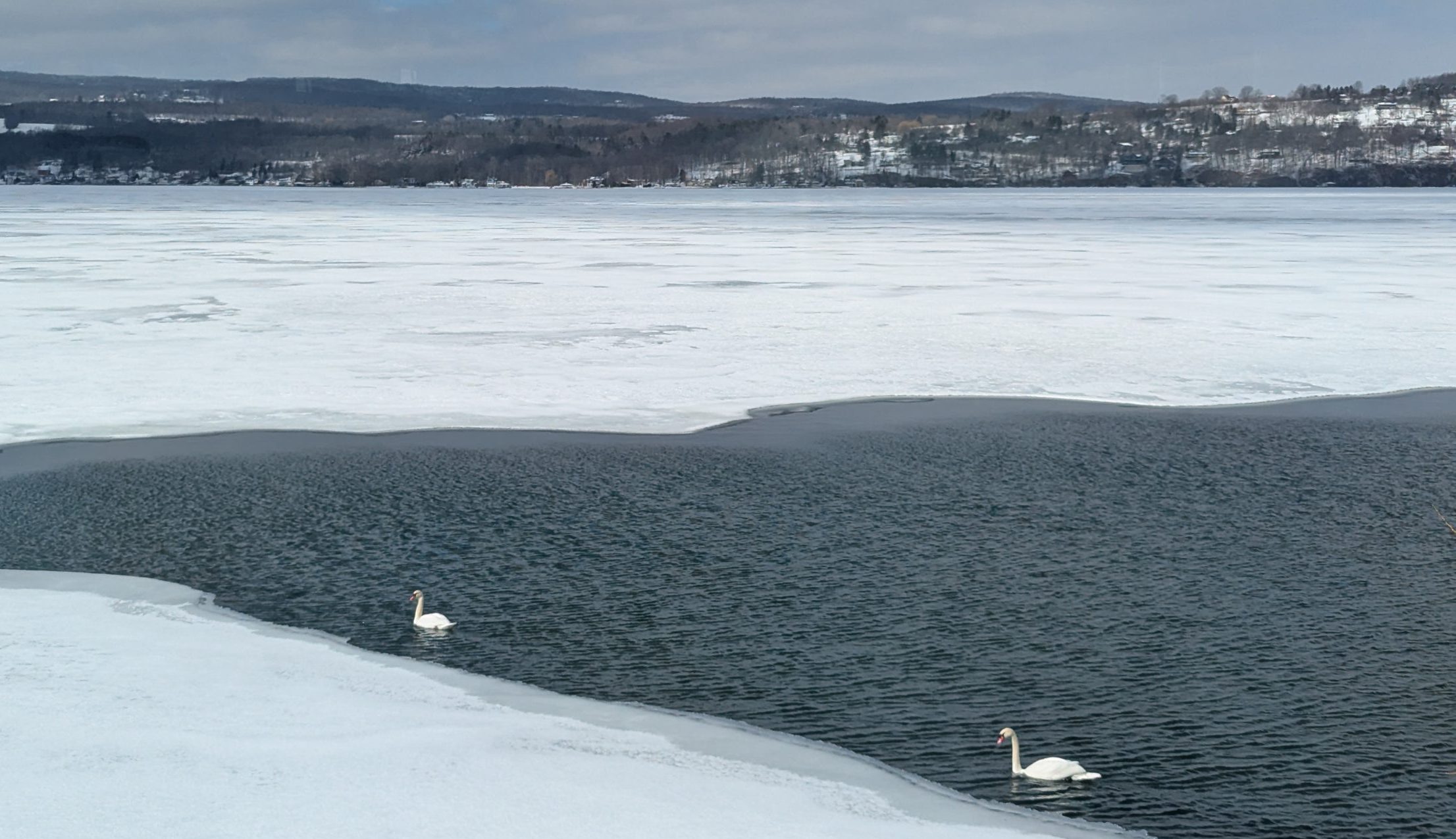      Crystal Beach Betterment Association